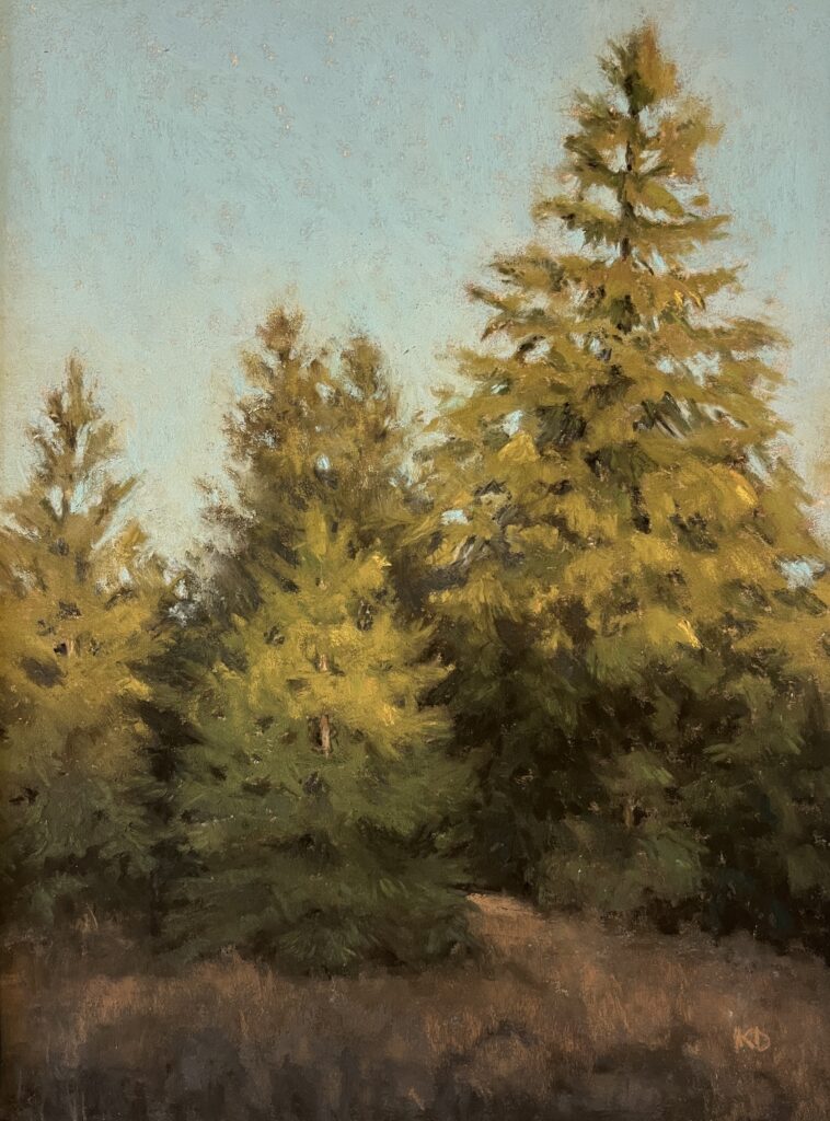 Morning Light in the Treetops