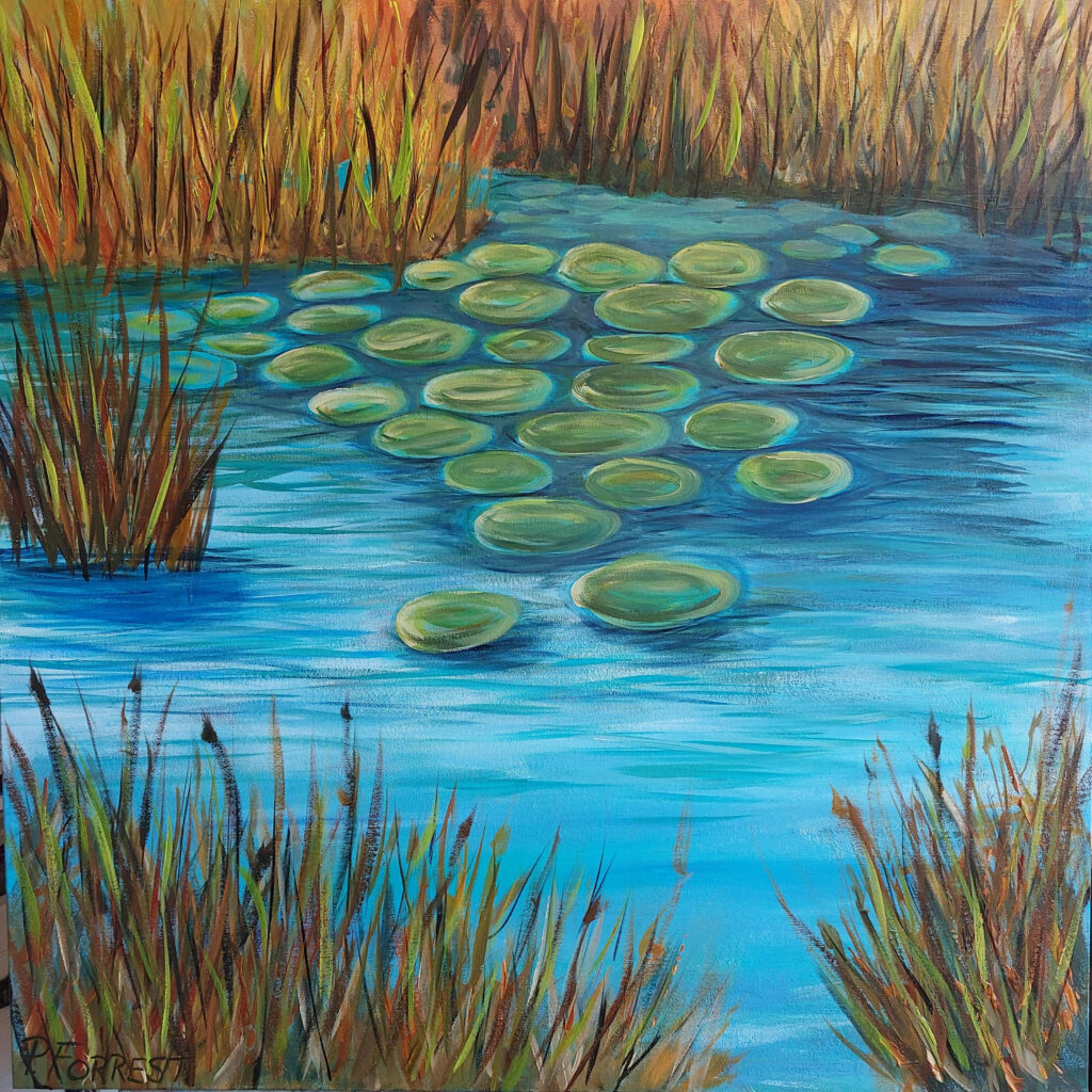 Water Lilies on the Pond