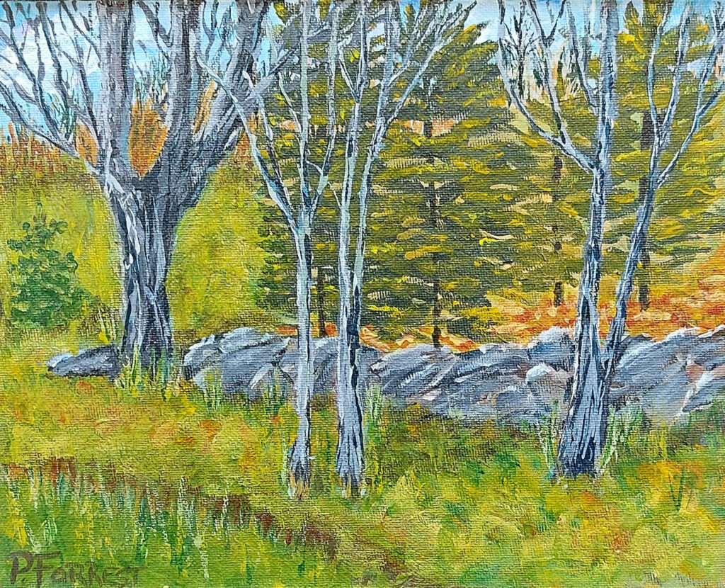 Kenopic Road in Fall